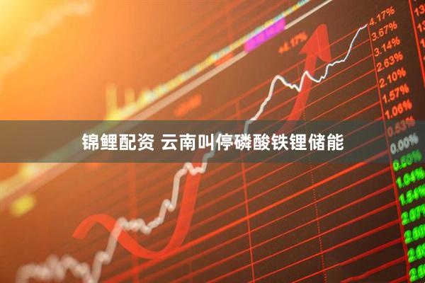 锦鲤配资 云南叫停磷酸铁锂储能
