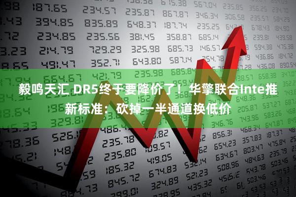 毅鸣天汇 DR5终于要降价了！华擎联合Inte推新标准：砍掉一半通道换低价
